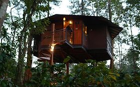 Pugmarks Jungle Lodge